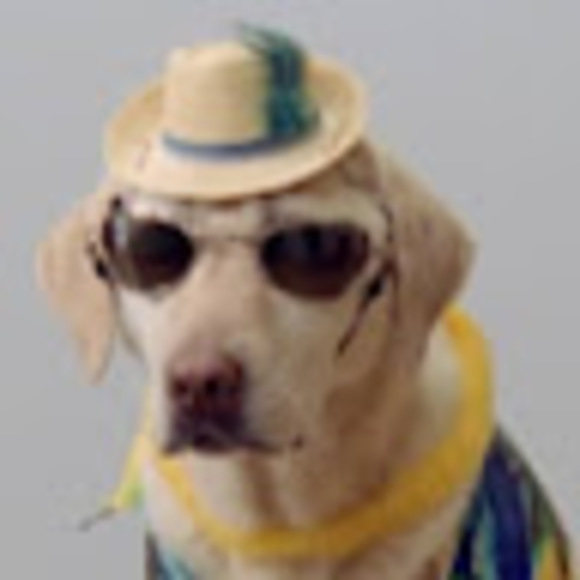 Meet your Posher, Amelia - Picture 1 of 1